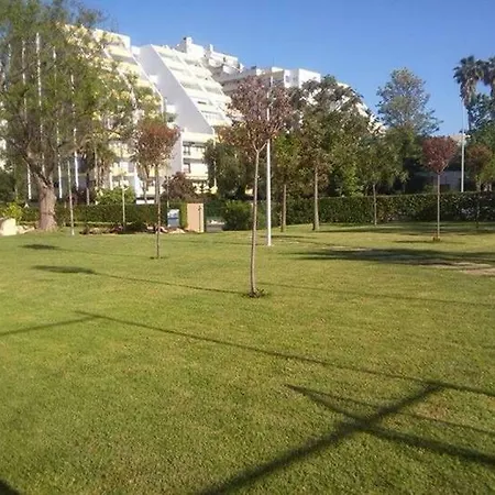 Sol Da Rocha